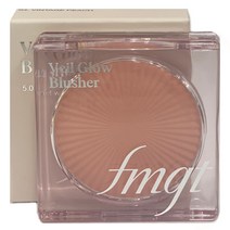 더페이스샵 fmgt 베일 글로우 블러셔 5g (05호 센서리피치)