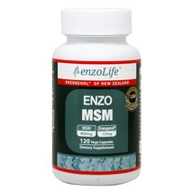 엔조라이프 뉴질랜드 MSM 식이유황 800mg 120베지캡슐, 1병
