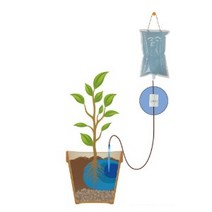 식물 자동 급수 화분 화초 물주머니 링거 물주기 2L, 1개