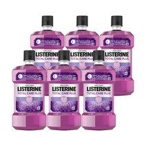 리스테린 토탈케어 플러스 250ml 6개