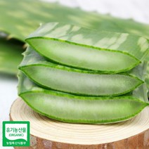같은공간-알로에 사포나리아 생잎 3키로 알로에잎 알로에즙 식용알로에 알로에쥬스 사포라니아잎-SS, 본상품, 본상품