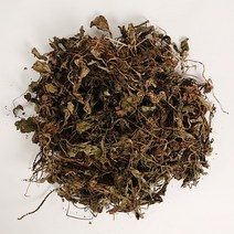 건 질경이 200g 차천초 차 엽포 국산 질갱이차 만드는법, 200g 3개