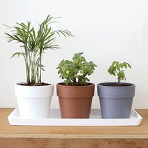 화담 토분 플리츠화분 토분화분 분갈이화분, 2호 황토