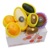 당일발송 추석명절 1인과일 자취생 제철과일 소량과일 과일 정기배송 나혼자과일, 나혼자과일 2, 1개