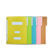 영오 친환경 PP정부화일, green, 30개