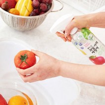 다용도 뿌리는 과일 야채 세정제 500ml, 1개