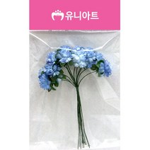 유니아트 소국화, 하늘, 10개