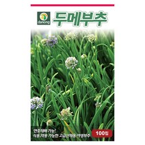 새론 부추 20g 새론부추씨앗 부추씨앗 부추씨 야채씨 야채씨앗 채소씨 채소씨앗, 11_다농_두메 부추(100립)