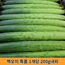샐러드오이 관련 상품 TOP 추천 순위