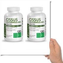브론슨 시서스 1000mg Cissus 피토스테롤 씨서스 120 베지캡슐 2통