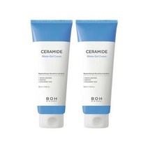 바이오힐보 세라마이드 워터젤크림 100ml 2개입