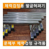 기타 팔굽혀펴기 문체부 체력검정 규격품 학교 기관 단체