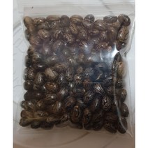 [남늘보] [직접재배] 피마자(아주까리) 씨앗(종자) 30g(약 200립)