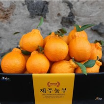 [제주농부] 산지직송 고당도 제주 한라봉, 한라봉 중과 3kg(11-15과)