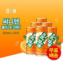 해태 [해태] 써니텐 블라스트오렌지(250mlx30캔), 단품없음