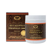 호주 Natures Top 유칼립투스 프로폴리스 3000mg 365캡슐+양태반크림 사은품, 1개