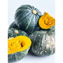 [루디번니] 미니 밤호박 1~2kg 미니 단호박 보우짱 다이어트 식단 이유식 단호박 밤호박 국내산 밤호박 당도놓은 단호박, 미니밤호박 5kg/8~12과/개당 300~600g내외