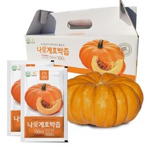 나애게 무안 늙은 호박즙 100ml, 90팩