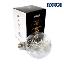 포커스 LED 눈꽃전구 G80 2W E26 엘디자인램프