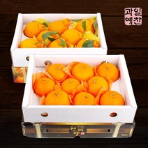 과일예찬 한라봉/천혜향 묶음세트(한라봉3kg7-9과+천혜향3kg12과내), 1