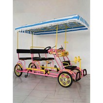 사륜 관광 자전거 2인 4인승 3인 다인 2인 페달 관광, 옵션 - 더블 행 블루