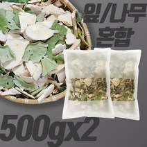 해남 황칠나무 (잎 나무) 500g x 2개