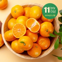 인기 있는 깨비농원고당도황금향 추천순위 TOP50