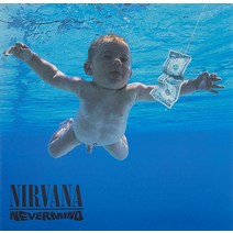 너바나 네버마인드 Nevermind 해외 음반 LP 수입 레코드 판 Vinyl 바이닐, 기본