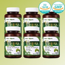 트리블 징코 플러스 12개월분 은행잎 추출물 아연 비타민B6 혈행개선 기억력개선, 단품, 단품