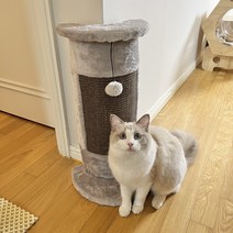 PETCA 고양이 코너 모서리 벽 스크래쳐 장난감 59cm, 그레이