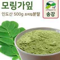 [송강] 모링가잎 씨앗 500g 인도 베타카로틴 아미노, 1개, 모링가잎 분말 500g