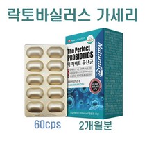 내추럴라이즈 모유 유산균 가루 캡슐 락토바실러스 가세리 17 프롤린 프로 프리 바이오틱스 신 포스트바이오틱스 생유산균 비만세균 뚱보균잡는 장내유익균 유해균, 500mg, 60캡슐