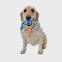 강아지 입질 터그놀이 장난감 강지혼자놀기 노견튼튼한장난감 펫로프, 1개