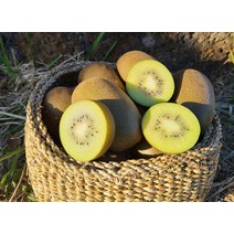 제주 골드키위 망고키위 한라스위트 제주도키위 2.5kg 5kg 25과 40과 내외, 1개, 2.5kg-소과 / 40과 내외