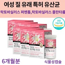 에버핏 편안해질 유산균, 30캡슐, 6개