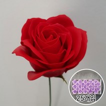 이플린 비누꽃 왕장미 비누장미 꽃다발 꽃바구니 DIY 재료, 01.일반_레드