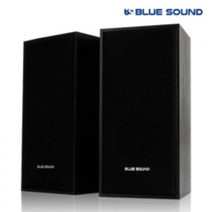 브랜드없음 블루사운드 BS-S300 USB 스피커 2채널 멀티미디어, 선택완료, BS-S300 USB스피커