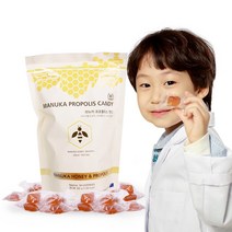 디어패밀리 뉴질랜드 마누카 프로폴리스 캔디, 300g, 1개