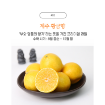 (사은품증정)제주귤 황금향 프리미엄 과일 선물세트, 1박스, 2KG_소과(가정용)