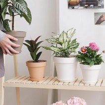 마당꾸미기 국산 원형 인테리어화분 테라스정원 다육식물가꾸기 가정용텃밭 주택 거실, 1개, 화이트