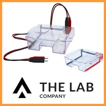 제이오텍/전기영동장치/EP-18/Horizontal Electrophoresis System/JEIOTECH