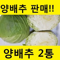 중리농원 양배추 2통 (3~5kg)