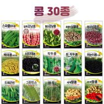 콩 씨앗 완두콩 종자 강낭콩 호랑이콩 곡류 곡물 옥수수 채소 씨 농사마트, 12. 적작두콩 5립, 1개