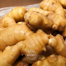 생강 5kg 햇생강 근채류 생강술 세척생강 근채류 흑생강 깐생강 내외 생강효능 흙생강 수입산 검은생강 세척
