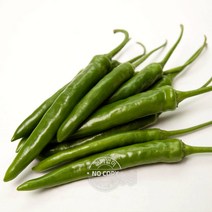 햇고추 매운고추 10kg 풋고추 아삭고추 내외 박스 특품 풋고추 모닝고추 청고추 땡초, 단품, 단품