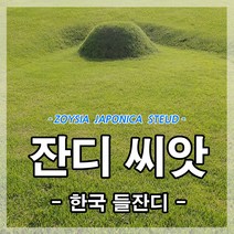 금잔디종류 구매률이 높은 추천 BEST 리스트를 찾아보세요