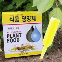 거실화분 영양제 돈나무 올리브나무 뱅갈고무나무 해피트리 행운목 파키라 난화분활력제 50개, 5세트