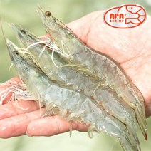 1년내내 당일수확 냉동X 산지직송 무항생제 흰다리새우 대하 친환경 실내양식 생새우 활새우 소금구이, 500g
