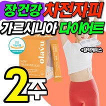 식약처 인정 다이어트 식품 체지방 감소 가르시니아 정 차전자피 식이섬유 HCA 팻 다운 지방 보조제 컷팅 커팅 가르시리아 가르시디아 가르시아 나 장 건강 기능 식품 12개 24주분, 1박스(30포 - 2주일분)
