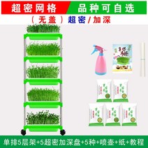 새싹재배기 다단형 수경재배식물 채소재배기 가정용스마트팜 식물등 밀싹키우기 새싹채소키우기, 옵션3